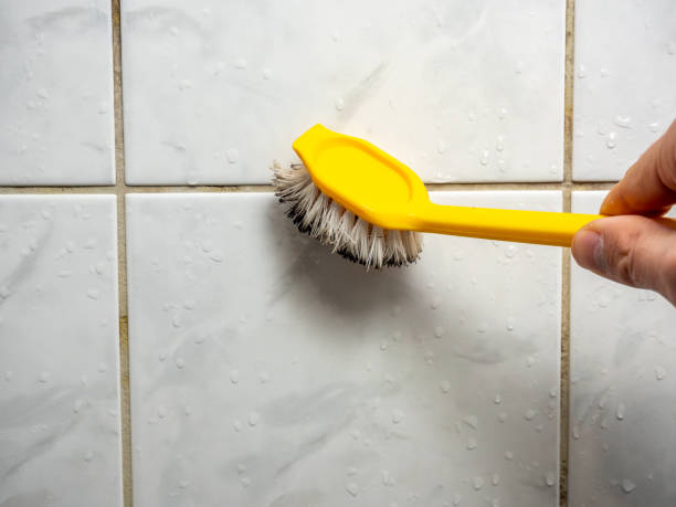 Best Certified Mold Removal  in Lovejoy, GA