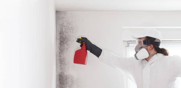 Best Fast Mold Removal  in Lovejoy, GA