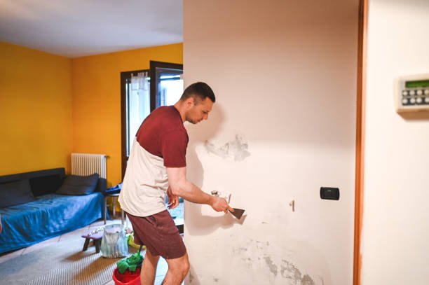 Best Mold Damage Repair  in Lovejoy, GA